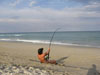 Josh Emerson fighting a blacktip shark during the 2008 Blacktip Challenge shark fishing tournament in Florida