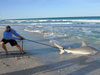 2013 Blacktip Challenge web episode