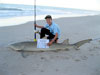 Junior angler Zac Colton caught this Lemon shark during the 2014 Blacktip Challenge shark fishing tournament in Florida